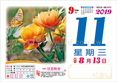 863八開環遊世界