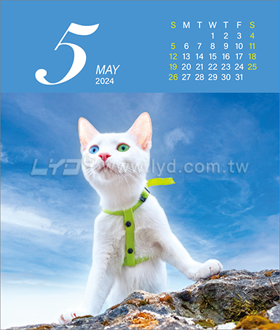 LTU07親密寶貝(貓)(大直)三角桌曆內頁圖