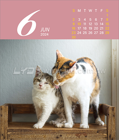 LTU07親密寶貝(貓)(大直)三角桌曆內頁圖