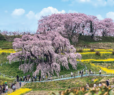 月曆內頁圖