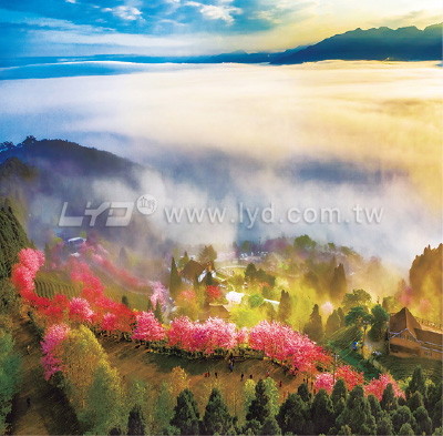 月曆內頁圖