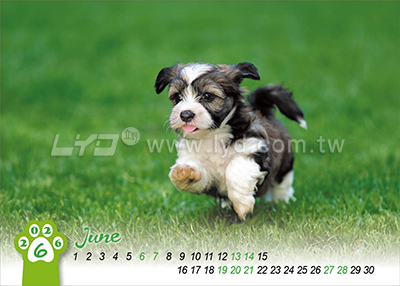 LTM06有你真好(狗)(大)便利貼(橫式)三角桌曆內頁圖