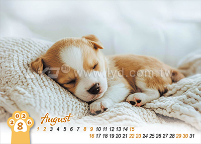 LTM06有你真好(狗)(大)便利貼(橫式)三角桌曆內頁圖