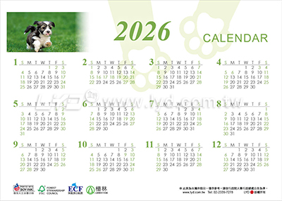 LTM06有你真好(狗)(大)便利貼(橫式)三角桌曆內頁圖