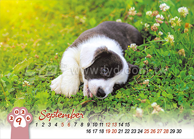 LTM06有你真好(狗)(大)便利貼(橫式)三角桌曆內頁圖