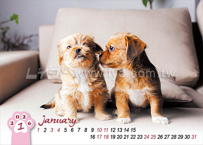 LTM06有你真好(狗)(大)便利貼(橫式)三角桌曆內頁圖