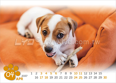 LTM06有你真好(狗)(大)便利貼(橫式)三角桌曆內頁圖