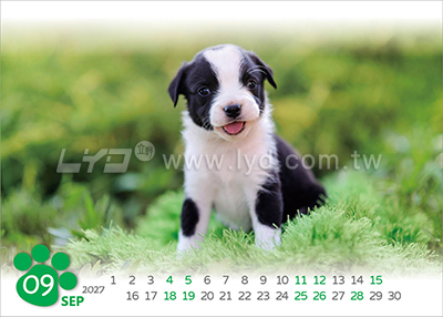 LTM06有你真好(狗)(大)便利貼(橫式)三角桌曆內頁圖